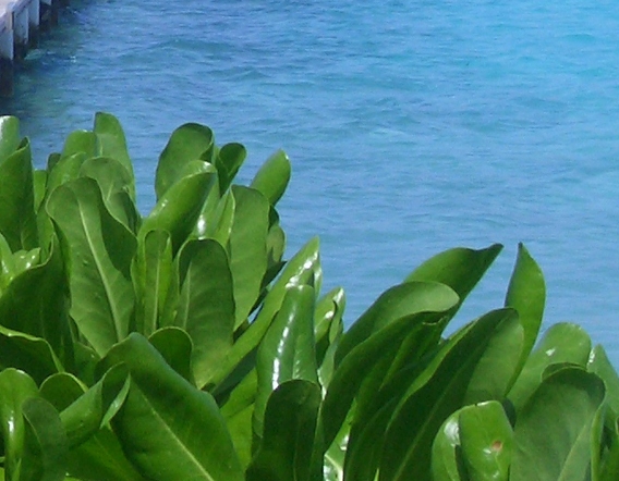 最新版粉象生活app下载安装