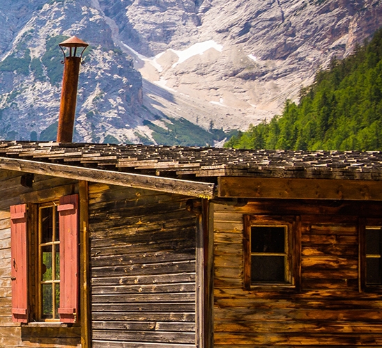 粉象生活任务中心