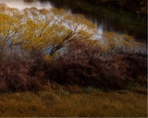 粉象生活是什么样的平台