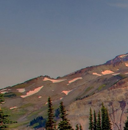 江门粉象生活合伙人