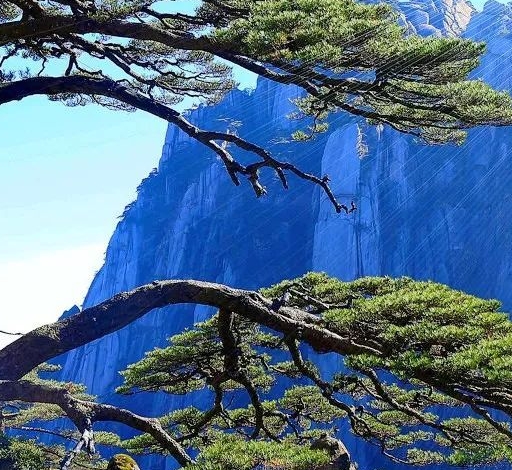 粉象生活3.0蓝图