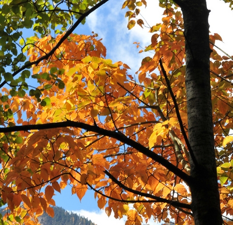 粉象生活可以赚钱吗