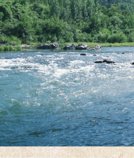 黄山粉象生活加盟粉象生活