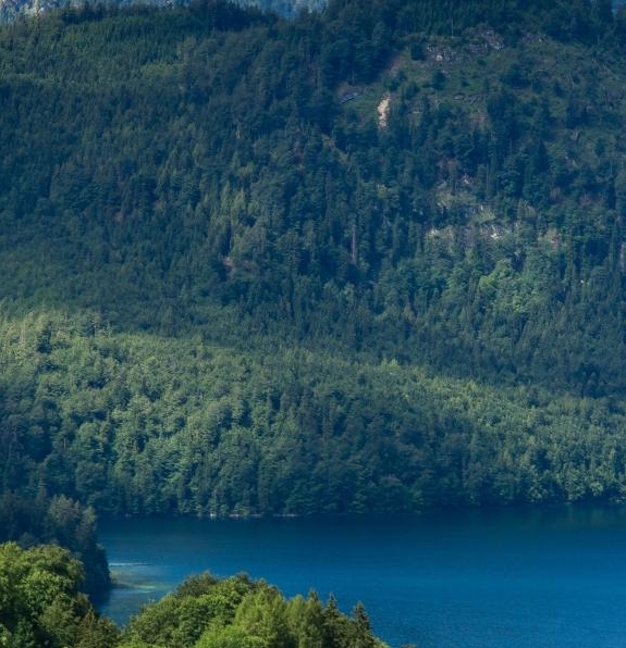 粉象生活安装教程