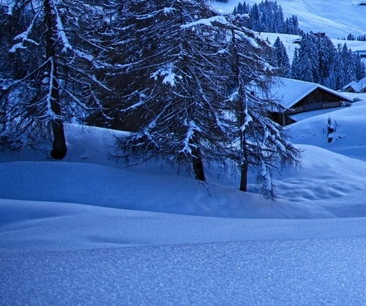 什么是粉象生活社交电商