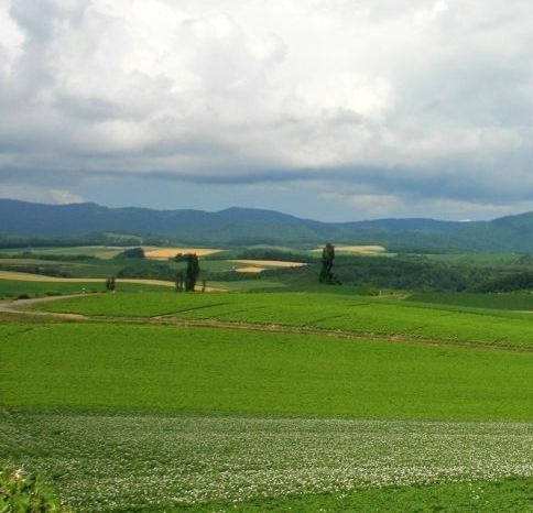 粉象生活怎么解除注册
