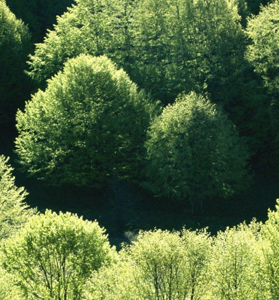 粉象生活福利页面