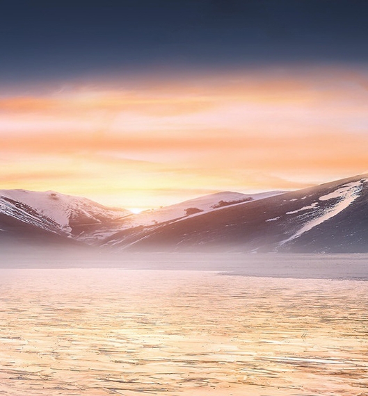 粉象生活发货上门