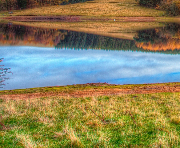 消费扶贫已完成