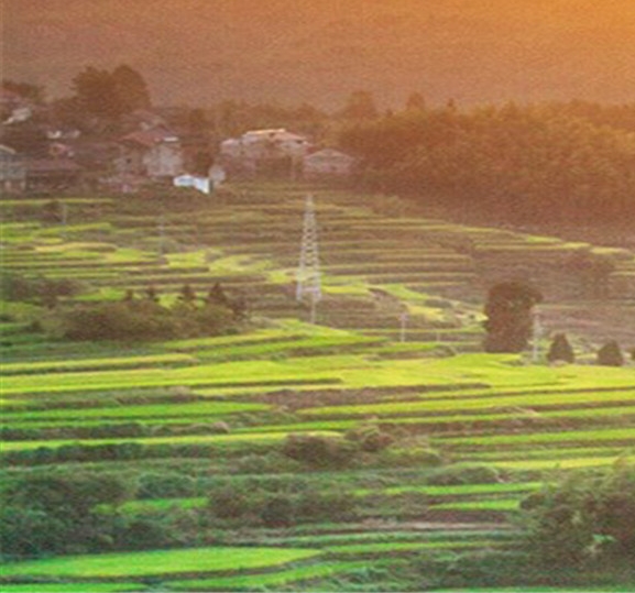 粉象生活vlog引流