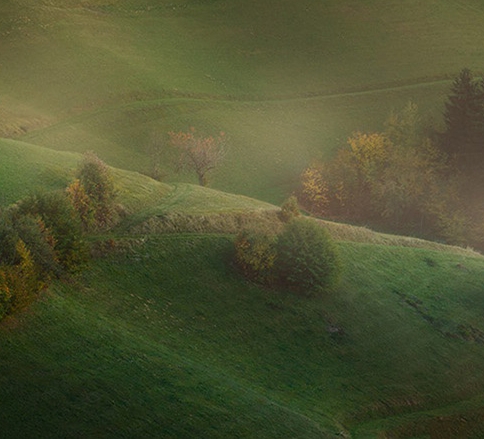 江苏综合粉象生活推广