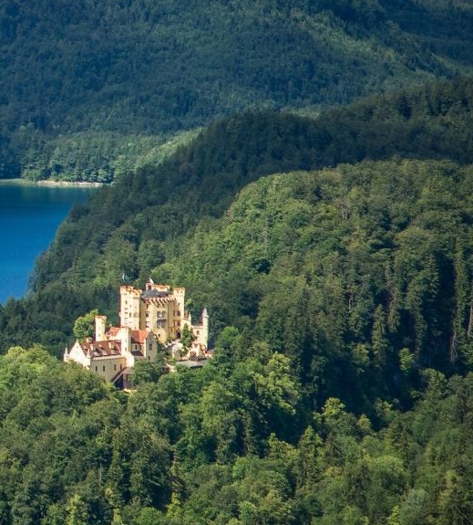 粉象生活赚钱教程