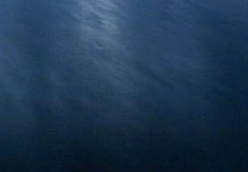 粉象生活秒杀报名