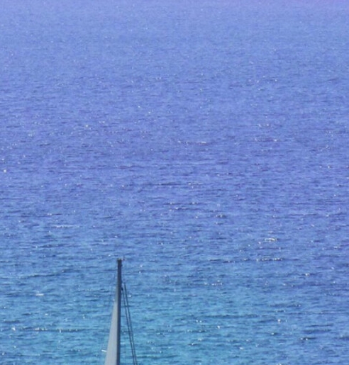 新手粉象生活怎么赚钱