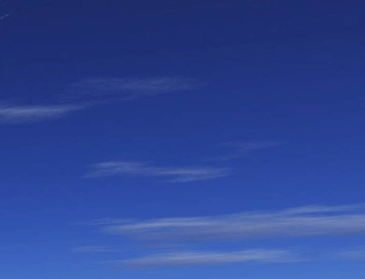 粉象生活升级后大概几天才看到收入