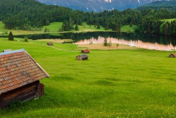 合肥群象网络科技