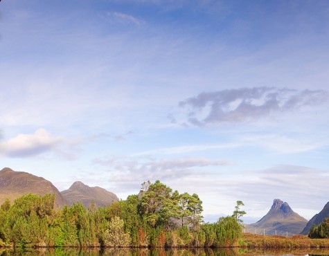 粉象生活退款影响