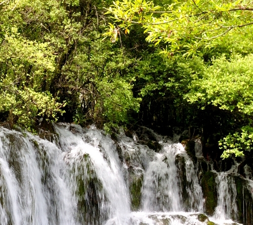 粉象生活返佣是真的吗