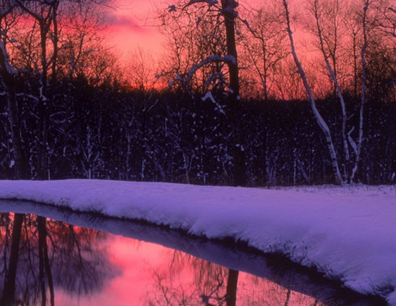 安徽高端粉象生活app