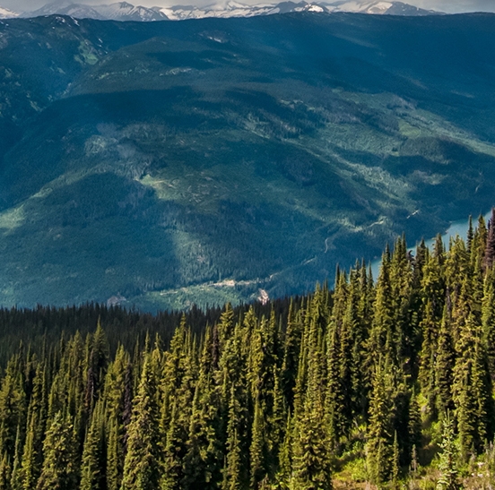 如何走进粉象生活