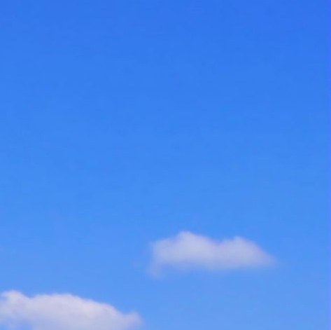 粉象生活是个什么样的平台