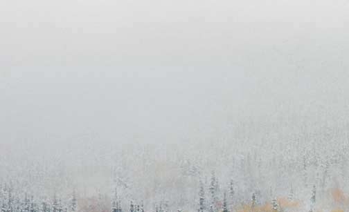 深圳收入多少才能生活舒服