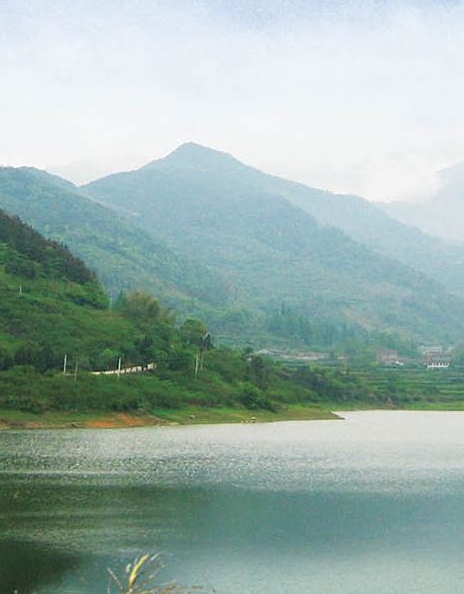 粉象生活平台合法吗?