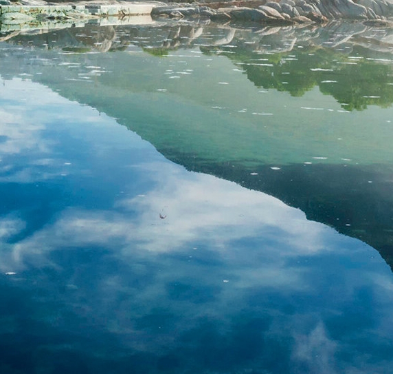粉象生活可以赚钱吗