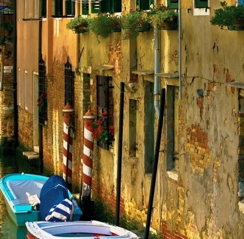 粉象生活日推广50人