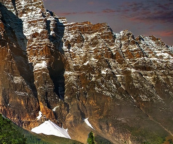 承德粉象生活app