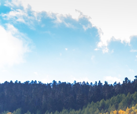 粉象生活怎么头像不能更改