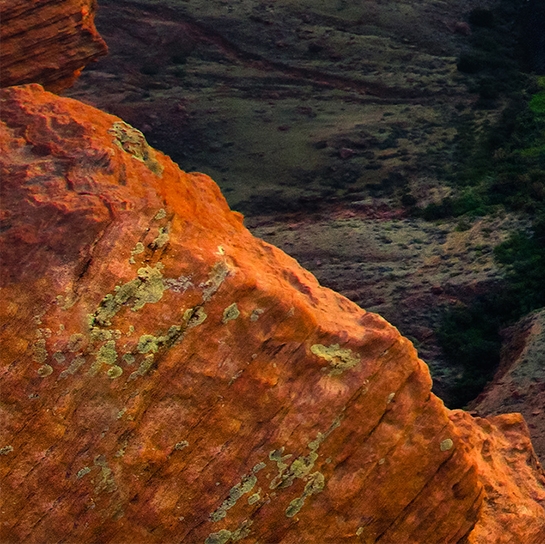 粉象生活怎么下载安装