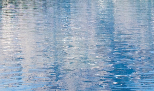 广东一站式粉象生活赚钱么