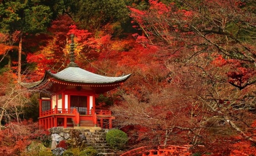 浙江粉象生活推广