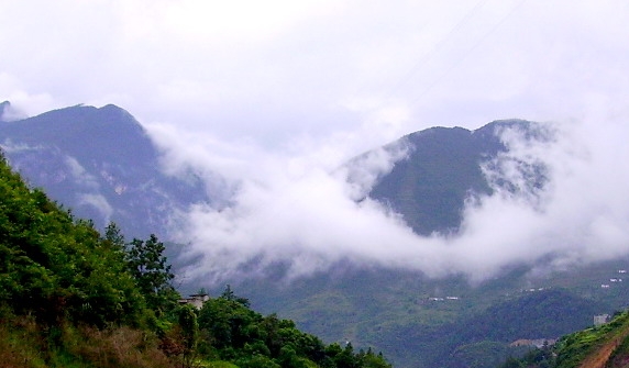 粉象生活赚钱教程