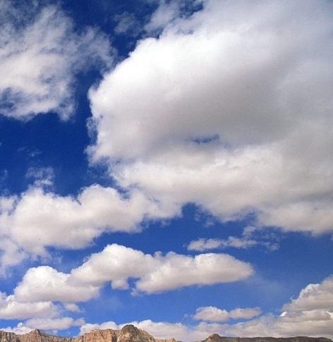 湖北正规粉象生活软件