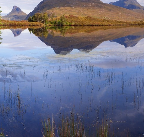 昆明粉象生活推广