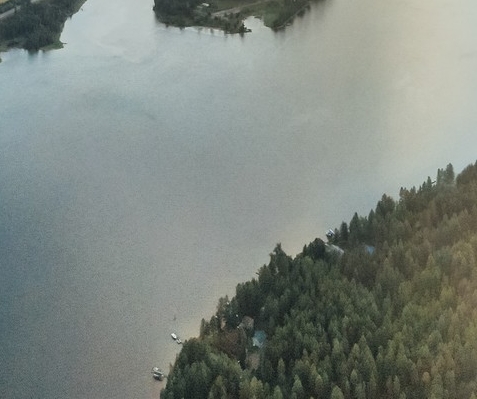 粉象生活如何购买的