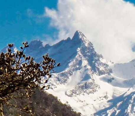 粉象生活可以赚钱吗