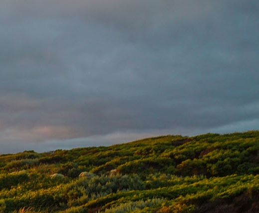 粉象生活赚钱教程