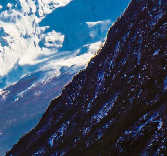 深圳粉象生活合伙人