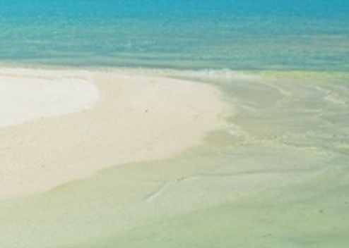 粉象生活可以赚钱吗