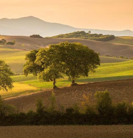 粉象生活真实收入