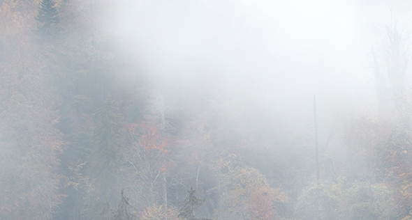 快手上的粉象生活挣钱是真的吗