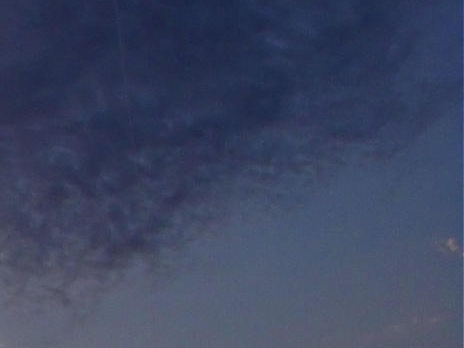 粉象生活兼职方案