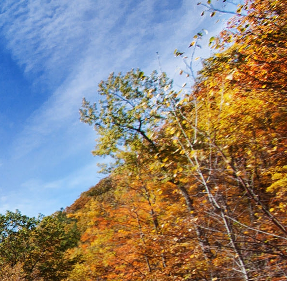 深圳粉象生活软件