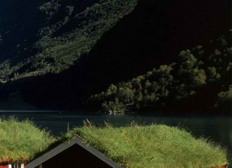 茂名粉象生活合伙人