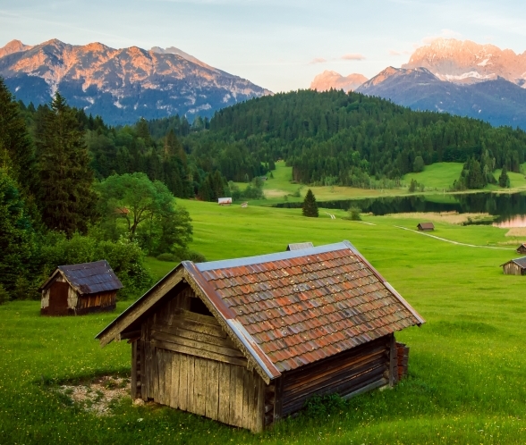 粉象生活三只松鼠优惠券