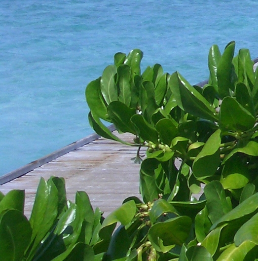 浙江粉象生活app