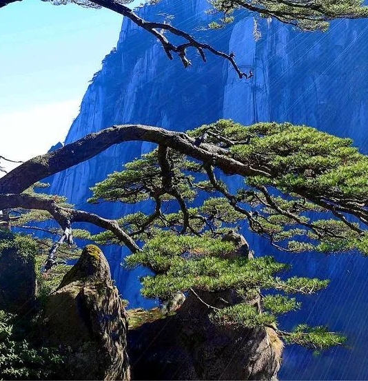 粉象生活不交钱能用吗